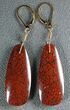 Large, Red Agatized Dinosaur Gembone Earrings #33826-1